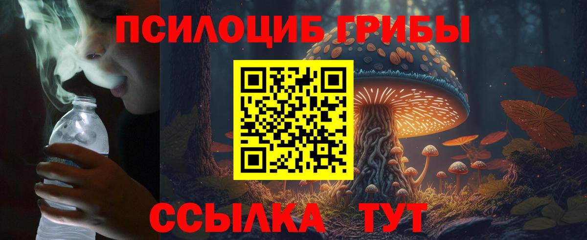 Галлюциногенные грибы мухоморы Самара
