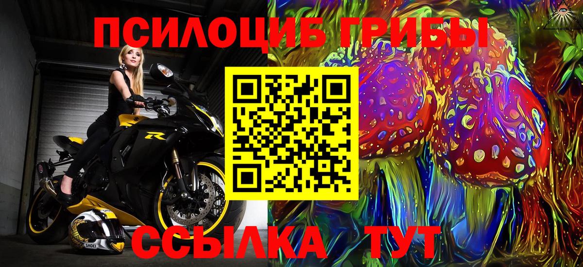 Галлюциногенные грибы Cubensis  Галлюциногенные грибы MAGIC MUSHROOMS  Вход с VPN  Самара 